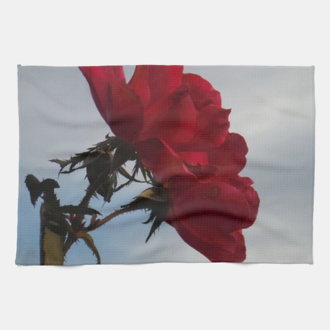 Rote Rosen gegen einen hellen blauen Himmel Küchentuch (Horizontal)