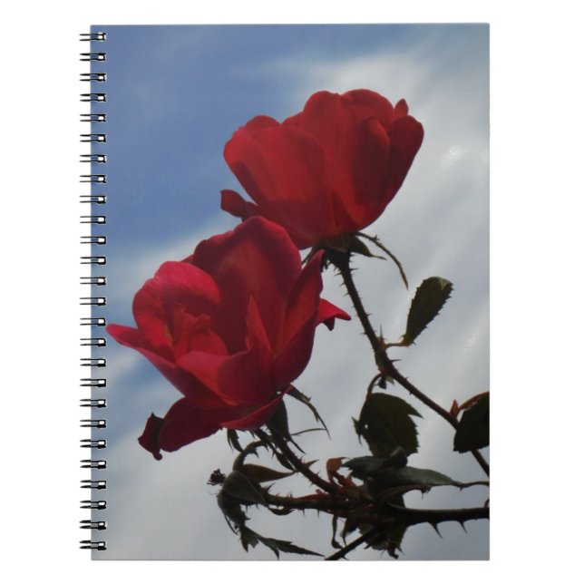 Rote Rosen gegen einen hellen blauen Himmel Notizblock (Vorderseite)