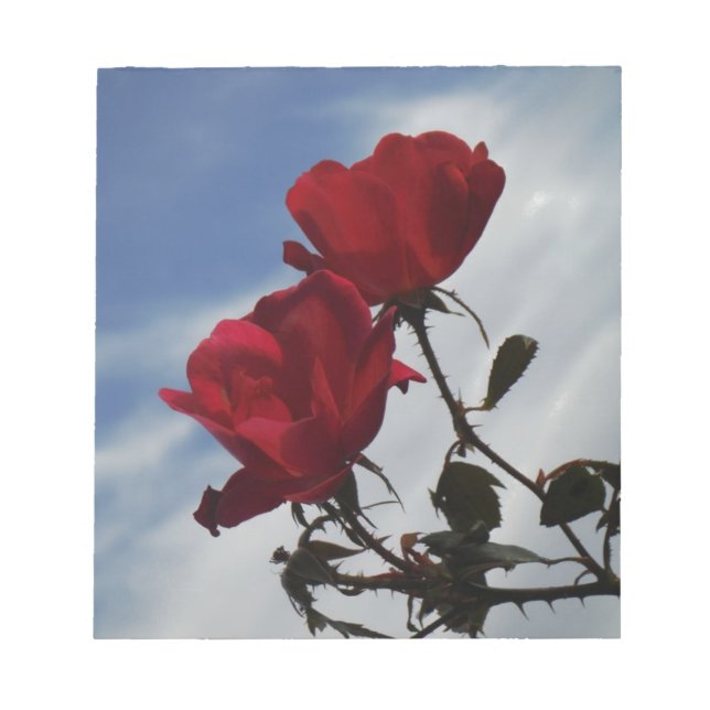 Rote Rosen gegen einen hellen blauen Himmel Notizblock (Vorderseite)