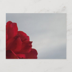 Rote Rosen gegen einen hellen blauen Himmel Postkarte