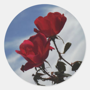 Rote Rosen gegen einen hellen blauen Himmel Runder Aufkleber