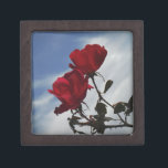 Rote Rosen gegen einen hellen blauen Himmel Schmuckkiste<br><div class="desc">Rote Rosen gegen ein blaues Foto von Sandy Closs,  aufgenommen am Arrowhead See. "rote Rose""rote Rosen""rosa Rosen""Rosa Rosen""Hochzeiten""Liebe-Geschenk""Rote Blume""Rote Blume""Rote Blüten" Rose "Geschenke mit Rose"</div>