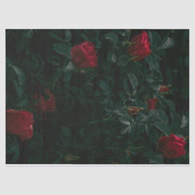 rote Rosen Gewindetappapier-Dekoupage-Geschenkpapi Seidenpapier (Vorderseite)