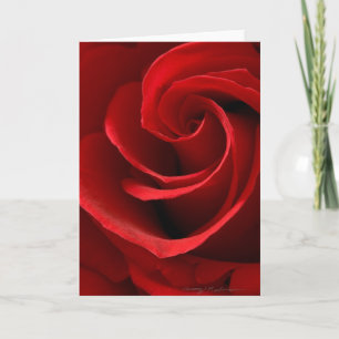 Rote Rosen-Grußkarte Karte