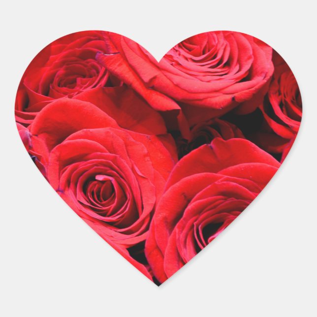 Rote Rosen Herz-Aufkleber (Vorderseite)