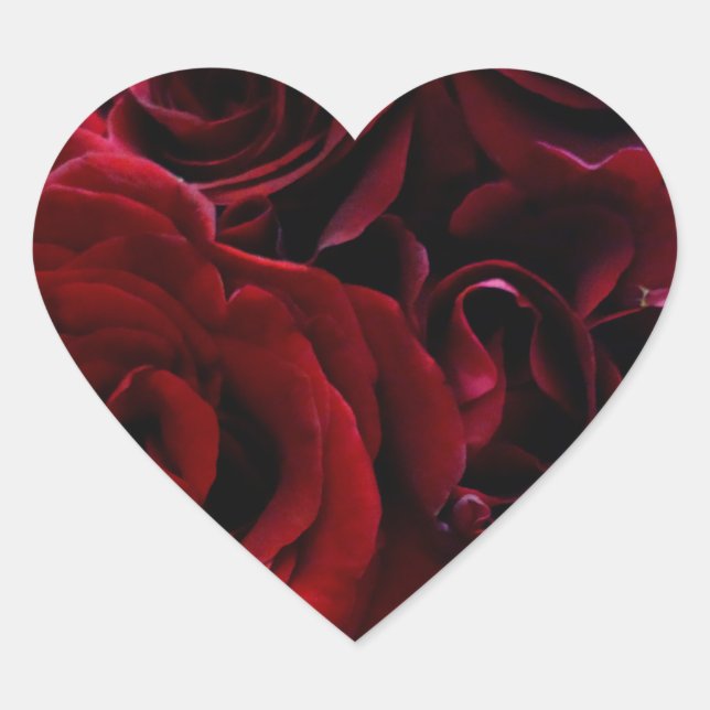 Rote Rosen Herzsticker Herz-Aufkleber (Vorderseite)