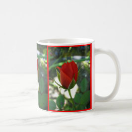 Rote Rosen Kaffeetasse