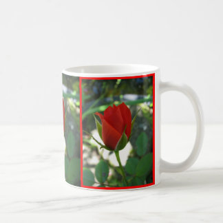 Rote Rosen Kaffeetasse