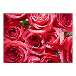 Rote Rosen - Lochkarte