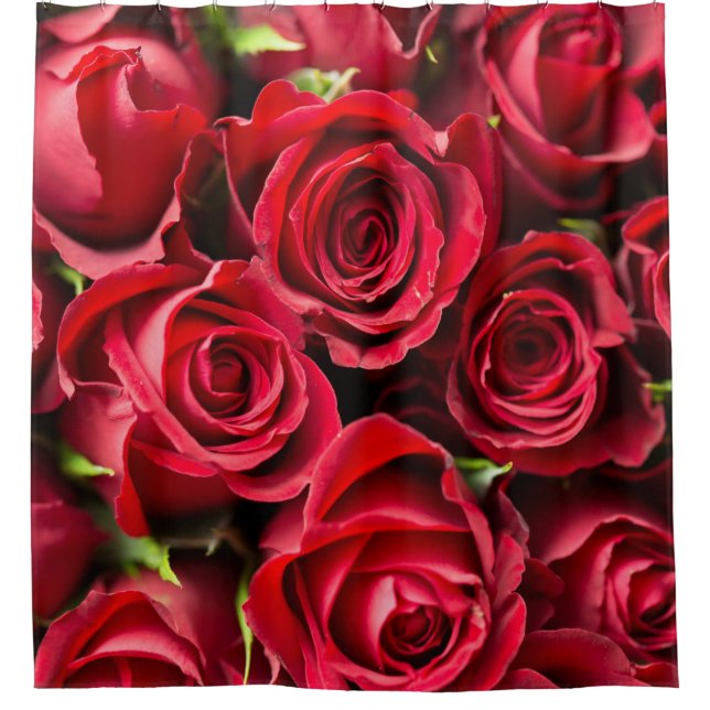 Rote Rosen Luxuriöser Duschvorhang (Vorderseite)