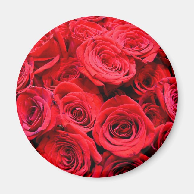 Rote Rosen Magnet (Vorne)