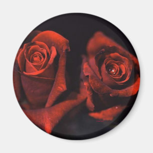 Rote Rosen Magnet