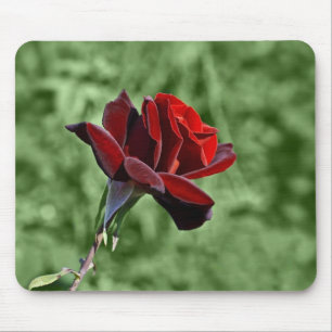 Rote Rosen-Mauspad Mousepad