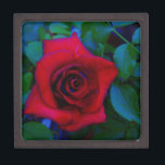 Rote Rosen mit blauen Farbtönen Schachtel<br><div class="desc">Rote Rosen mit blauen Farbtönen Rote Rose Lieblicher Hintergrund der rote Rose lesen,  um mit Ihrem Text zu schneiden. Ideal für jeden Liebhaber der Rose. Foto von Sandy Closs,  aufgenommen am Arrowhad-See. "rote Rose""rote Rosen""rosa Rosen""Rosa Rosen""Hochzeiten""Liebe-Geschenk""Rote Blume""Rote Blume""Rote Blüten" Rose "Geschenke mit Rose"</div>