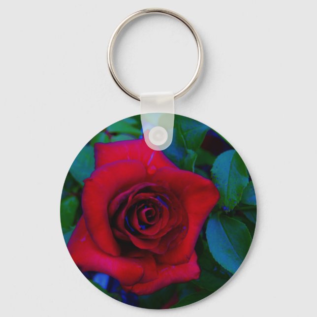 Rote Rosen mit blauen Farbtönen Schlüsselanhänger (Vorderseite)