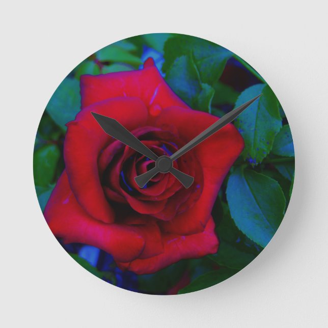 Rote Rosen mit blauen Tönen Runde Wanduhr (Vorderseite)