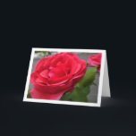 Rote Rosen Nah-up Portrait Karte<br><div class="desc">Rote Rosen Nah-up Portrait Grußkarte. Sie können dieses Produkt ganz einfach kostenlos anpassen, wenn Sie Text hinzufügen oder die Farbe des Hintergrunds ändern möchten.</div>