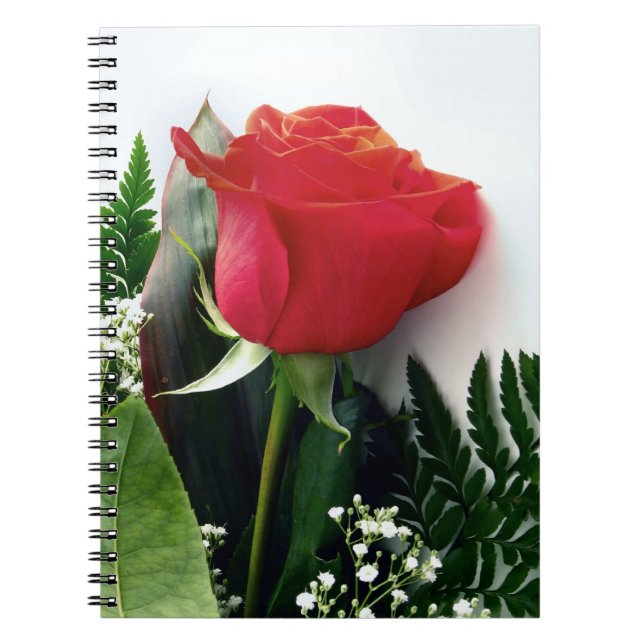 Rote Rosen Notizblock (Vorderseite)
