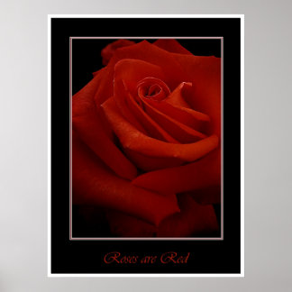 rote Rosen-Plakat Poster
