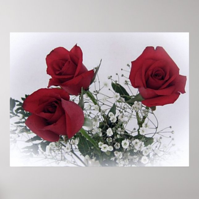 Rote Rosen Poster (Vorne)