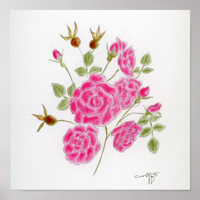 Rote Rosen Poster (Vorne)