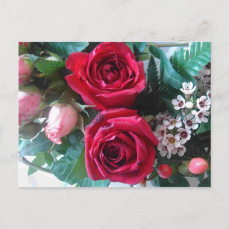 rote Rosen Postkarte