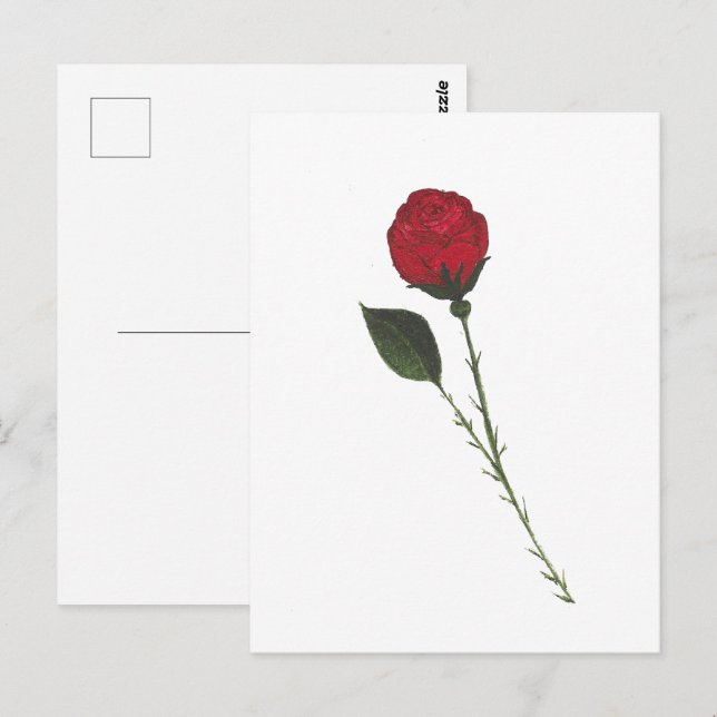 Rote Rosen Postkarte (Vorne/Hinten)