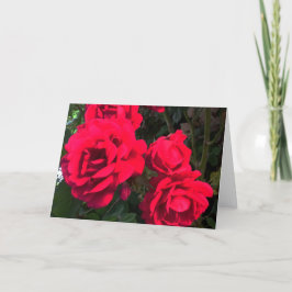 Rote Rosen Rosarium Feiertagskarte