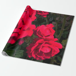 Rote Rosen Rosarium Geschenkpapier