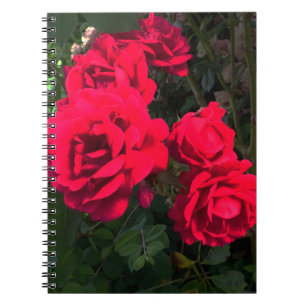 Rote Rosen Rosarium Notebook Notizblock