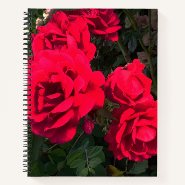 Rote Rosen Rosarium Notizbuch (Vorderseite)