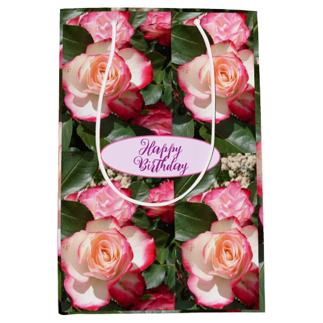Rote Rosen Rose Weißer Blume Hütte Gartenanlage Mittlere Geschenktüte (Vorderseite)