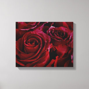 Rote Rosen rund um Leinwanddruck