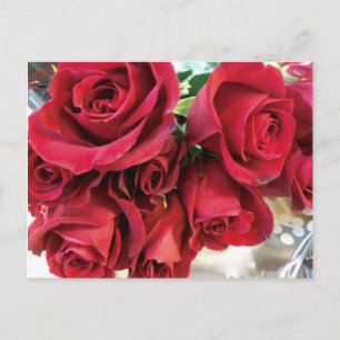 Rote Rosen Save-the-Date-Postkarte Ankündigungspostkarte