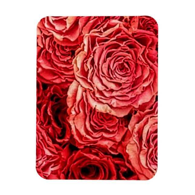 Rote Rosen schließen Magnet (Vertikal)