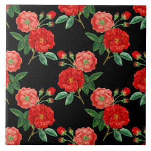 Rote Rosen, schwarzer Hintergrund, Fliese
