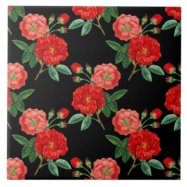 Rote Rosen, schwarzer Hintergrund, Fliese (Vorderseite)