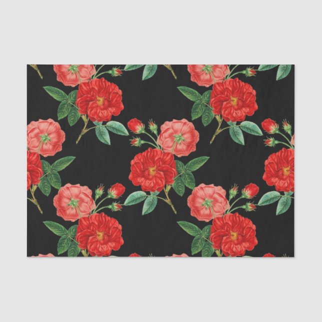 Rote Rosen, schwarzer Hintergrund, Seidenpapier (Vorderseite)