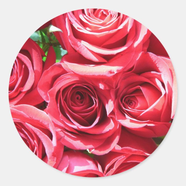 Rote Rosen Stöckchen Runder Aufkleber (Vorderseite)