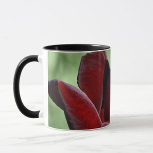 Rote Rosen-Tasse Tasse