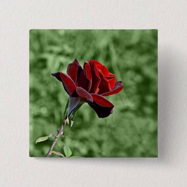 Rote Rosen-Taste Button (Vorderseite)