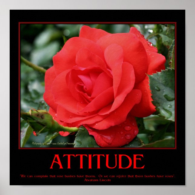 Rote Rosen Thorns inspirierendes Verhaltensnotiz Poster (Vorne)