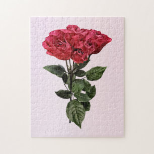 Rote Rosen und Blätter