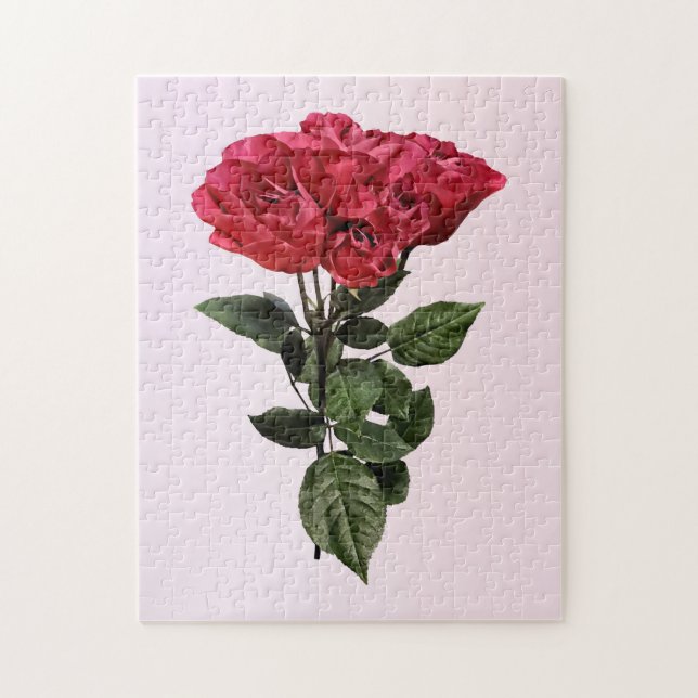 Rote Rosen und Blätter (Vertikal)