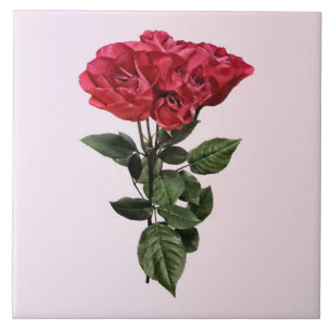 Rote Rosen und Blätter Fliese