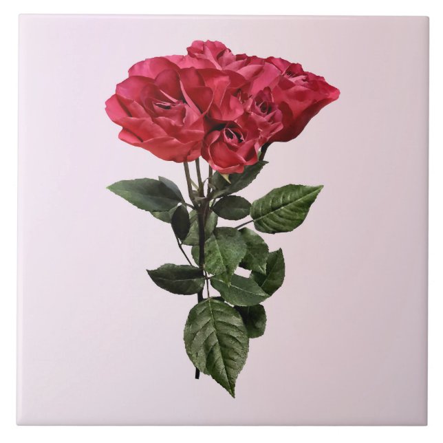 Rote Rosen und Blätter Fliese (Vorderseite)