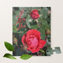Rote Rosen und Rose Buds floralfotografisch