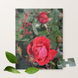 Rote Rosen und Rose Buds floralfotografisch