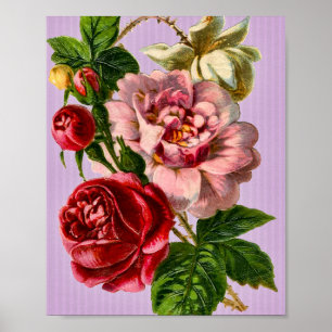 Rote Rosen Vintage-Blumen Poster