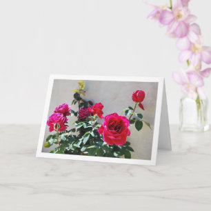 Rote Rosen vor Gartenmauer Karte